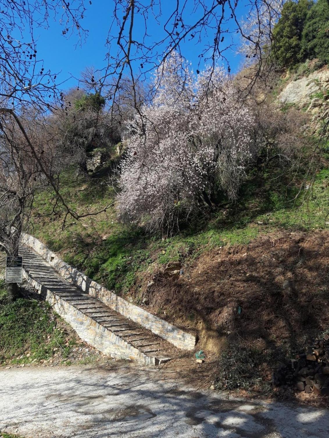αλώνια Makrinitsa